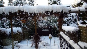 winter in germany 1 winter in germany 1