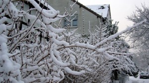 winter in germany 3 winter in germany 3